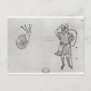 Fol.2 Snail and Hungarian soldier Postcard