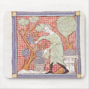 Fol.59r September: The Harvest Mouse Pad