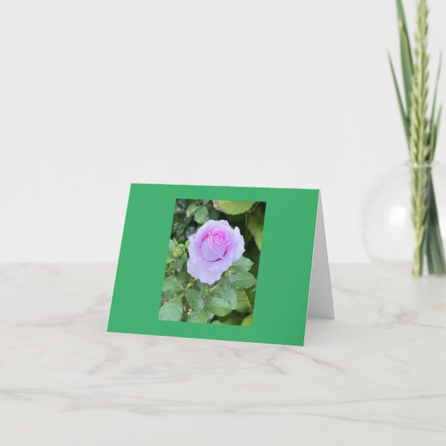 Folded Blank Card (Front)