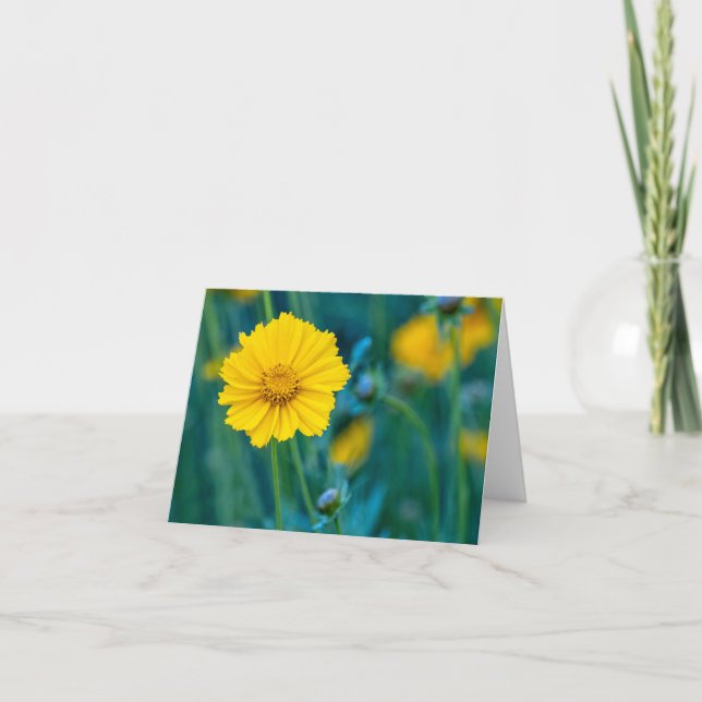 Folded Card Blank Inside (Front)