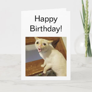 Folded Card Coughing Cat Meme