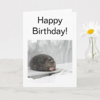 Folded Card Judging Seal Meme