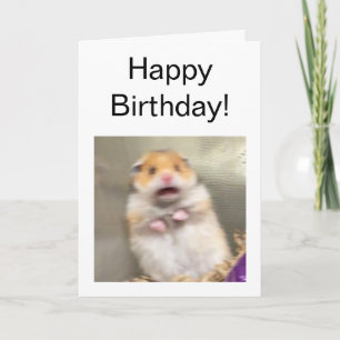 Folded Card Scared Hamster Meme