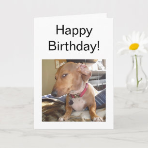 Folded Card Side Eye Dog Meme