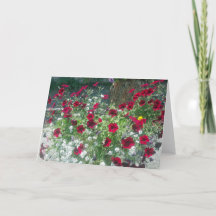 Folded Card with Alpine Petunias