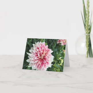 Folded Greeting Card