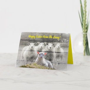 Folded Greeting Card