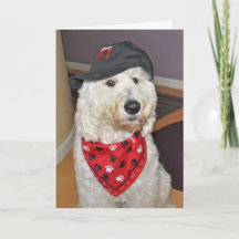 Folded Greeting Card