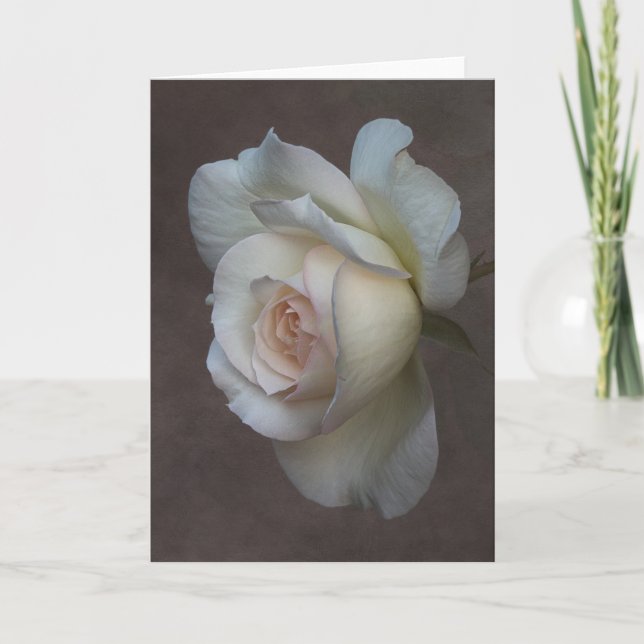 Folded Greeting Card (Front)