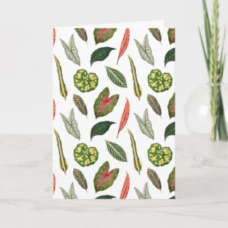 Folded Greeting Card