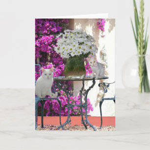 Folded Greeting Card