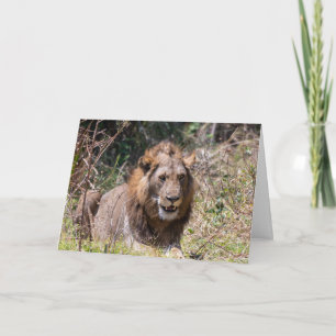 Folded Greeting Card