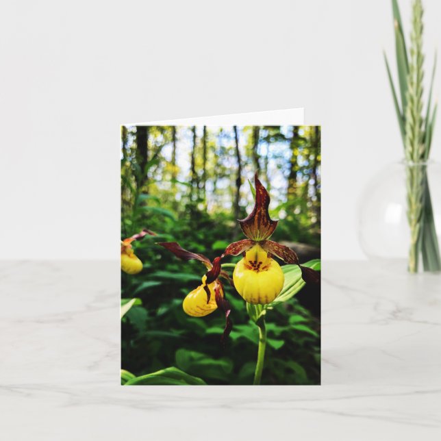 Folded greeting card with wildflower photo (Front)