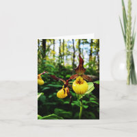 Folded greeting card with wildflower photo