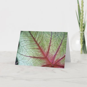- Folded Greetings Card with Caladium Leave