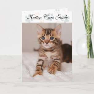 Folded Kitten Care Guide For Catteries Card