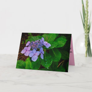 Folded Landscape Sympathy Card