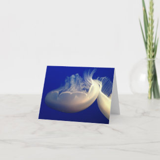 Folded Note Card