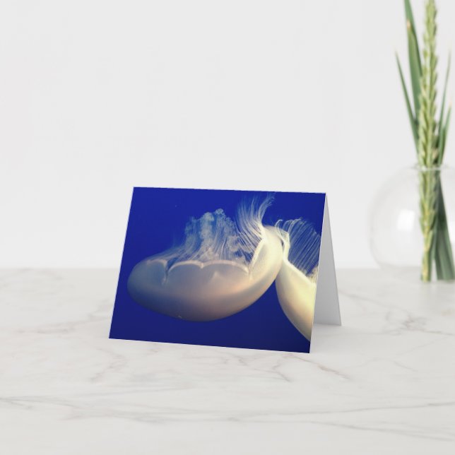 Folded Note Card (Front)