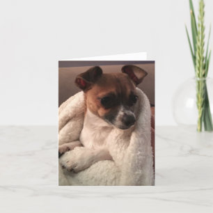 Folded Thank You Card