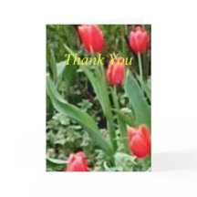 Folded Thank You Card