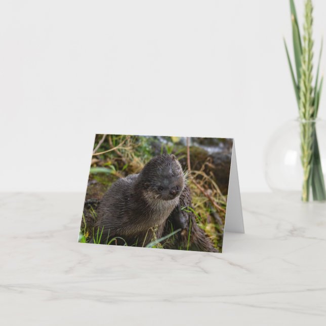 Folded Thank You Card (Front)