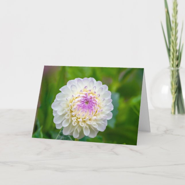 Folded Thank You Card (Front)