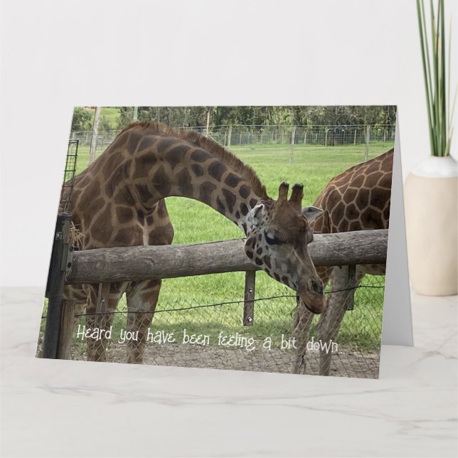 Folding Card - Giraffe Get Well Card (Front)