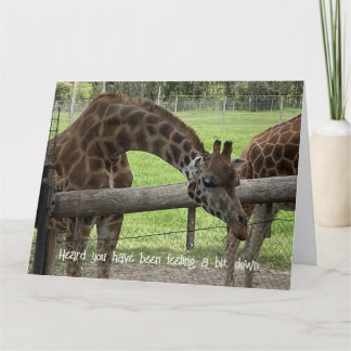 Folding Card - Giraffe Get Well Card