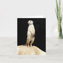 Folding Card - Meerkat Love 
