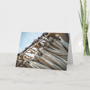 Folds of Sail Card