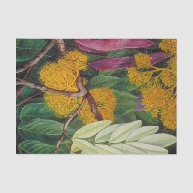 Foliage, Flowers and Fruit of a Mayalan Tree Tissue Paper (Front)