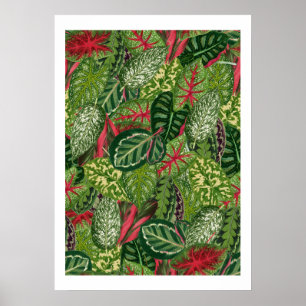 Foliage Poster