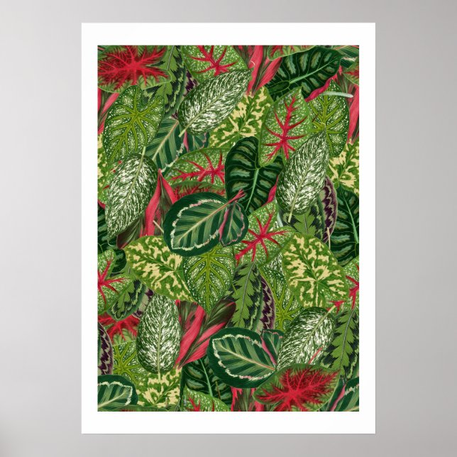 Foliage Poster (Front)