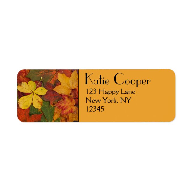 Folithe d'automne (Devant)