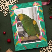 Folk Art Birds, Custom Greeting Photo 