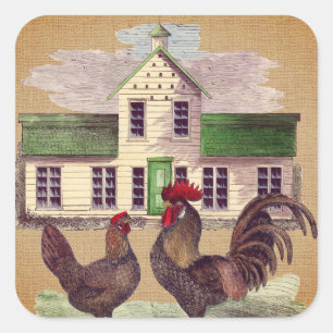 Folk Art Farmyard Chickens Rustic Design Square Sticker