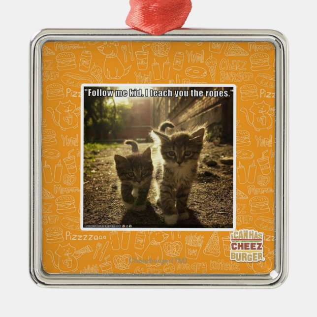 Follow Me Kid Metal Ornament (Front)