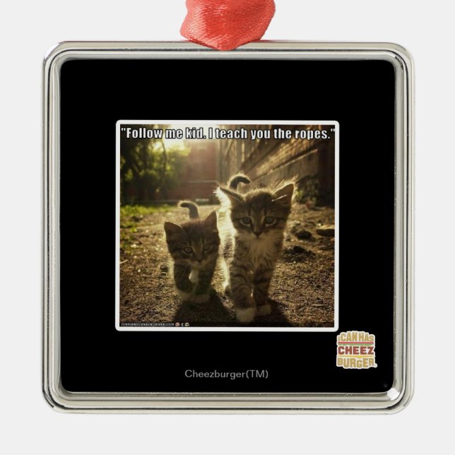 Follow Me Kid Metal Ornament (Front)