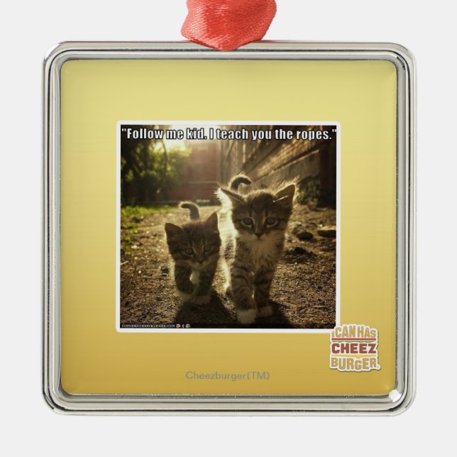 Follow Me Kid Metal Ornament (Front)