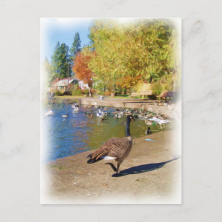 Follow me postcard