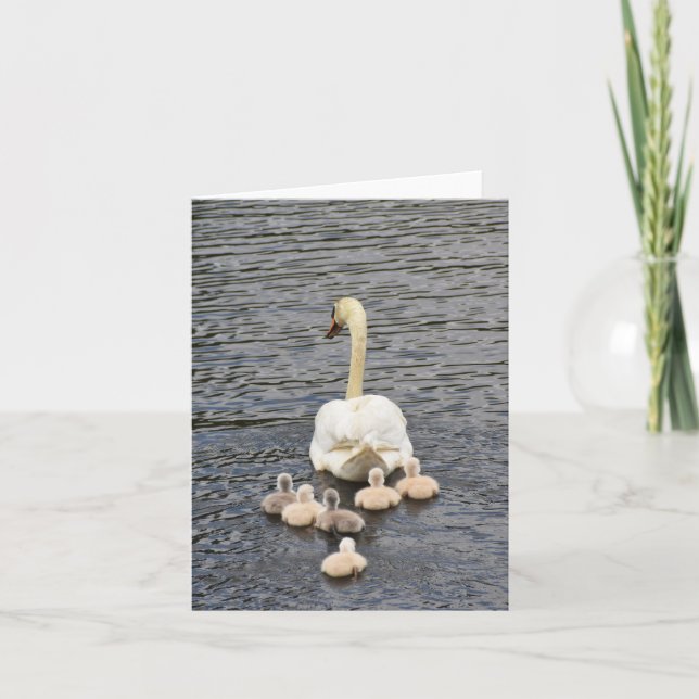 Follow (Mute swan cygnets #4) - Blank Note Card (Front)