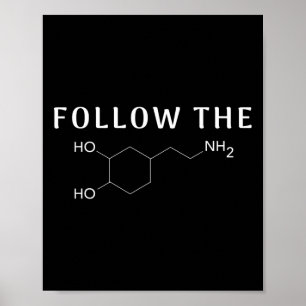 Follow The Dopamine Chemical Structure Fun Science Poster