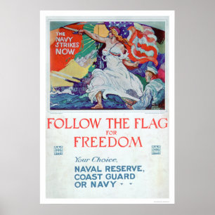 Follow the Flag of Freedom (US02179) Poster