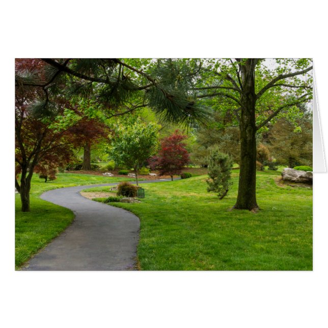 Follow The Path Pano (Front Horizontal)