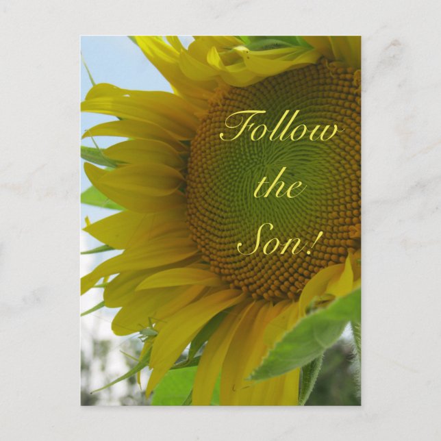 Follow the Son! Christian Message on a Postcard (Front)