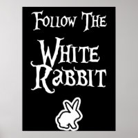 Follow the White Rabbit