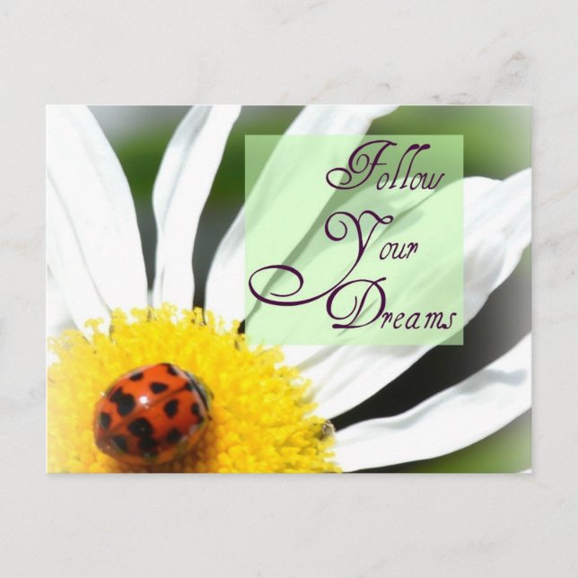 Follow Your Dreams Ladybug Post Card (Front)