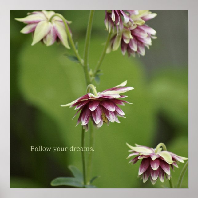 Follow Your Dreams - Square Poster (Front)