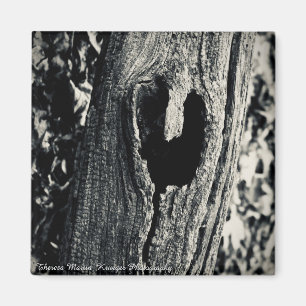 "Follow Your Heart" Magnet